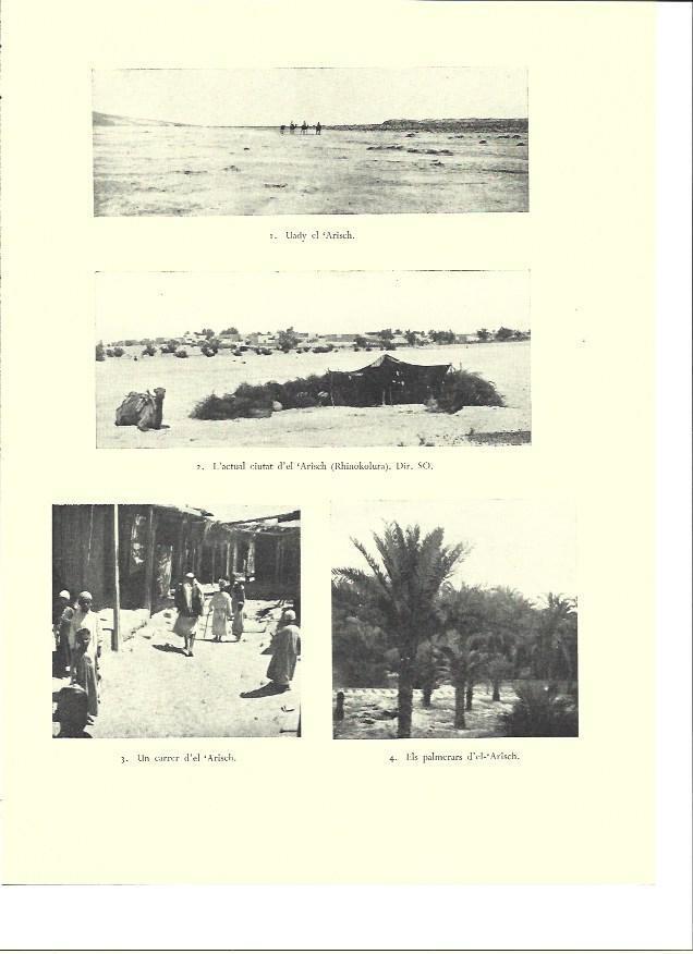 LAMINA 36416: Ciudad de Rhinokolura, Israel