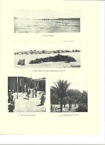 LAMINA 36416: Ciudad de Rhinokolura, Israel