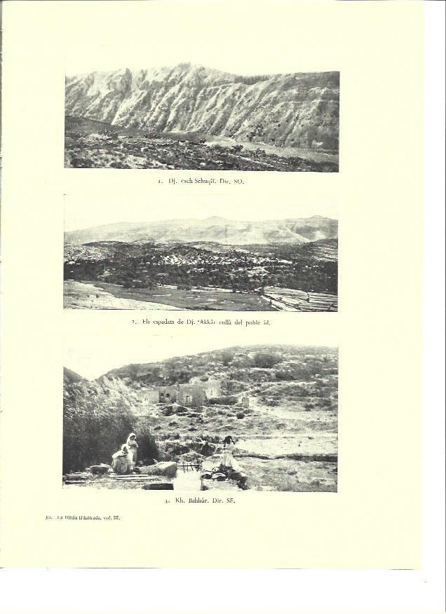 LAMINA 36419: Vistas de Bahhur y Akkar, Israel