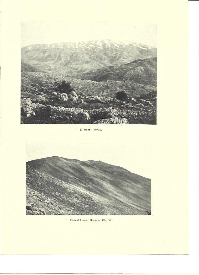 LAMINA 36424: Monte Hermon