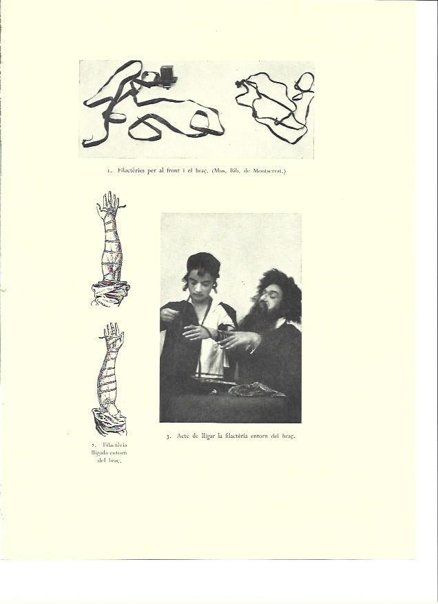 LAMINA 36429: Filacterias judias
