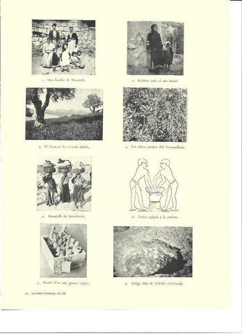 LAMINA 36453: Familia y beduinas de Palestina