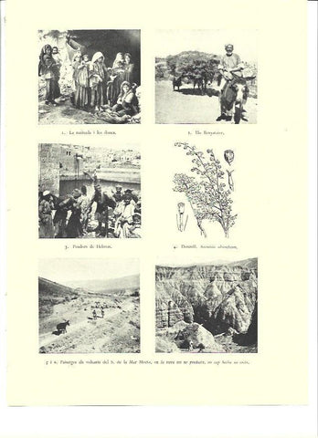 LAMINA 36456: Habitantes de la region de Hebron