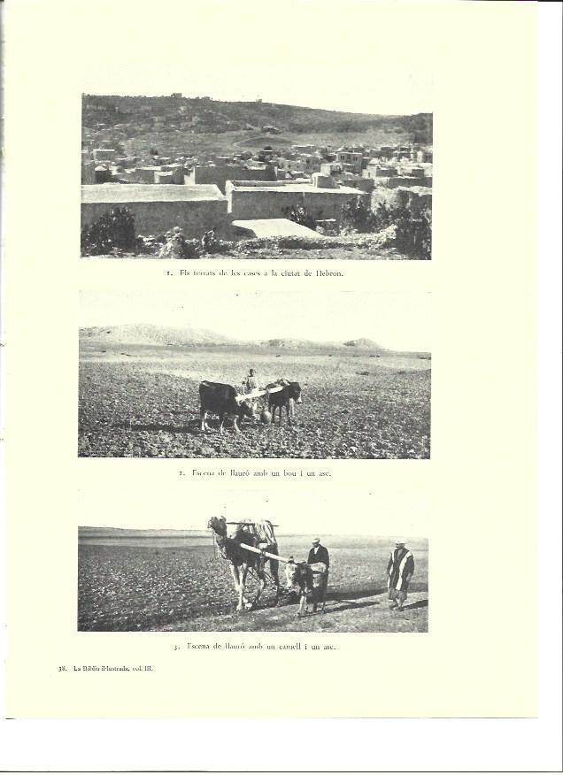 LAMINA 36449: Azoteas de la ciudad de Hebron