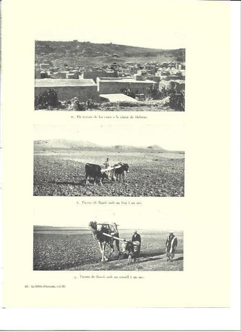 LAMINA 36449: Azoteas de la ciudad de Hebron