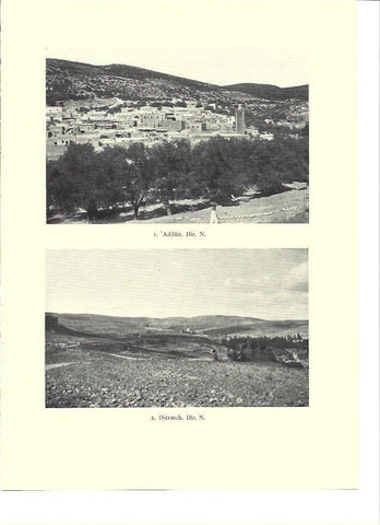 LAMINA 36274: Vistas de Adjlun y Djerasch