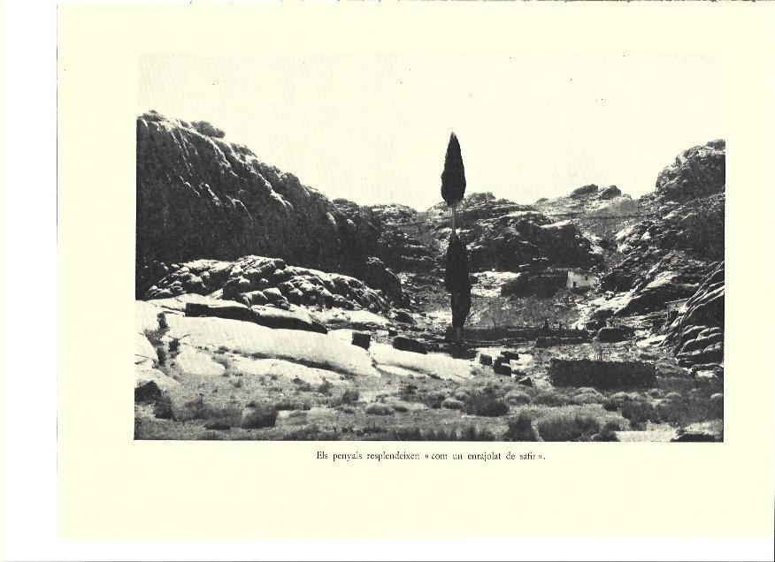 LAMINA 36086: Detalle de la Llanura del Cipres