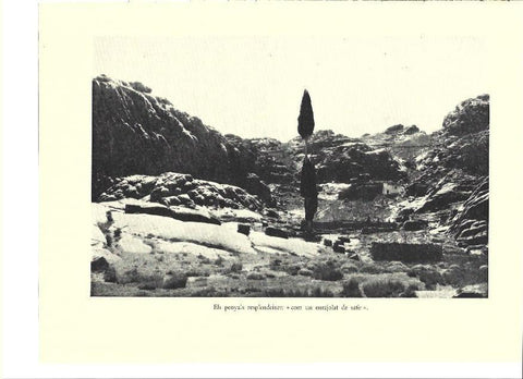 LAMINA 36086: Detalle de la Llanura del Cipres