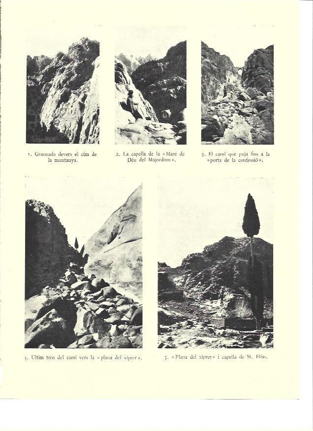 LAMINA 36083: Caminos en el Sinai