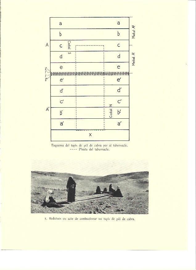 LAMINA 36101: Esquema de tapiz para el tabernaculo
