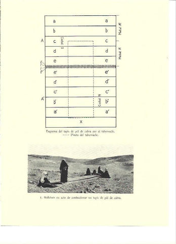 LAMINA 36101: Esquema de tapiz para el tabernaculo