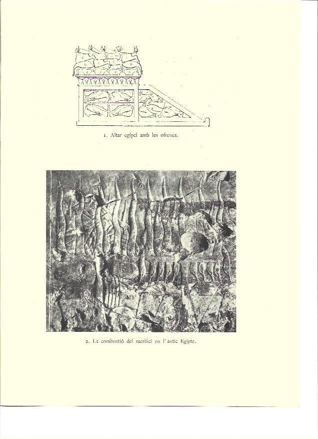 LAMINA 36132: Sacrificio en el Antiguo Egipto