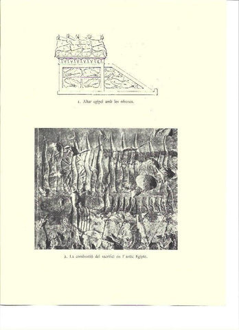 LAMINA 36132: Sacrificio en el Antiguo Egipto