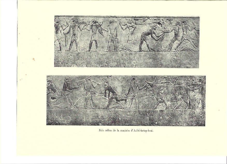 LAMINA 36131: Relieve de la mastaba de Achti-hetep-hrai
