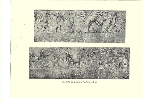 LAMINA 36131: Relieve de la mastaba de Achti-hetep-hrai