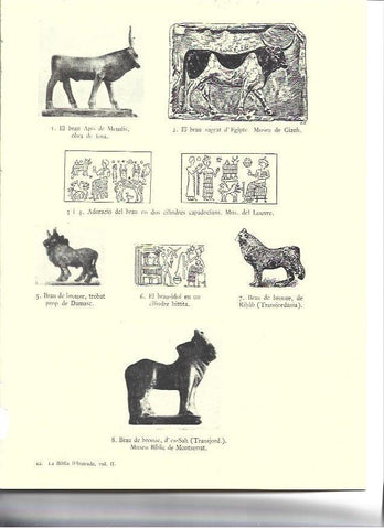 LAMINA 36118: El dios Apis de Egipto y toros de bronce de Damasco