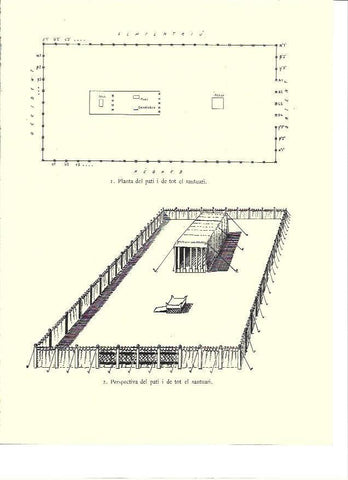 LAMINA 36106: Planta del patio del Tabernaculo