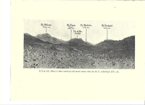 LAMINA 36065: Montañas del Sinai