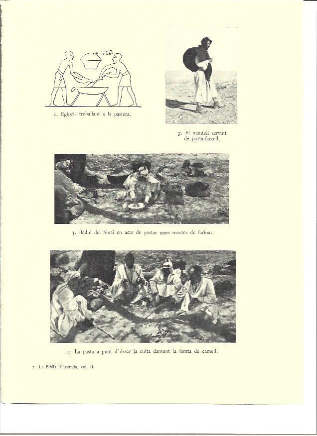 LAMINA 36019: Beduinos del Sinai