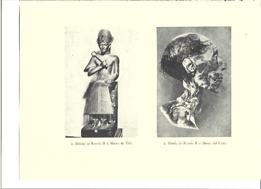 LAMINA 36000: Estatua y momia de Ramses II 