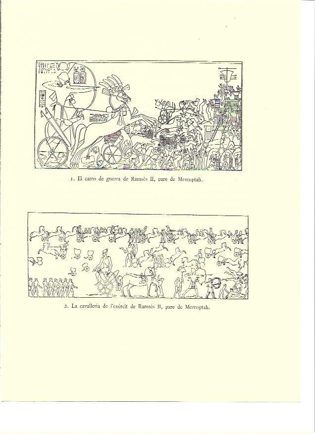 LAMINA 36028: Relieves de Ramses II 