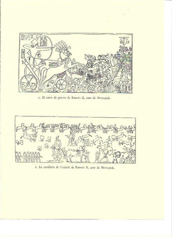 LAMINA 36028: Relieves de Ramses II 