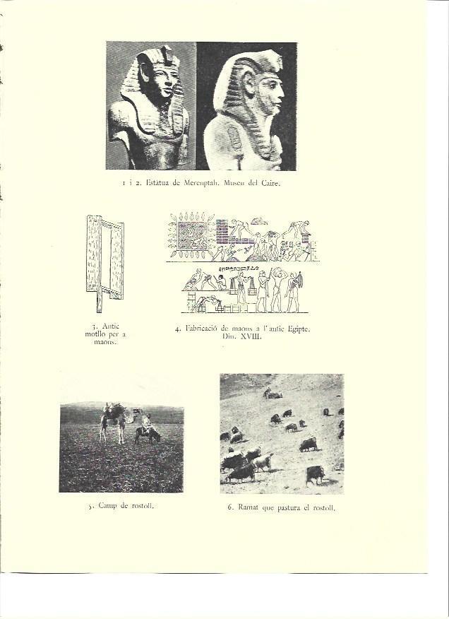 LAMINA 36008: Estatua de Merenptah y campos