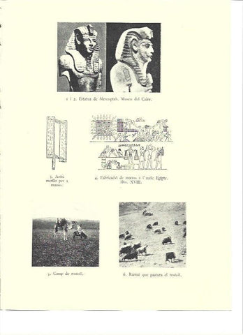 LAMINA 36008: Estatua de Merenptah y campos