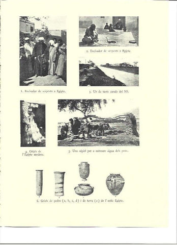 LAMINA 36010: Encantadores de serpientes en Egipto