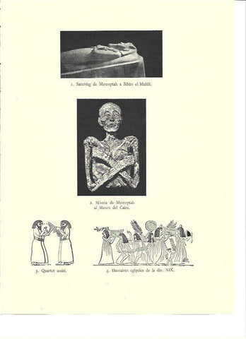 LAMINA 36029: Momia y sarcofago de Merenptah