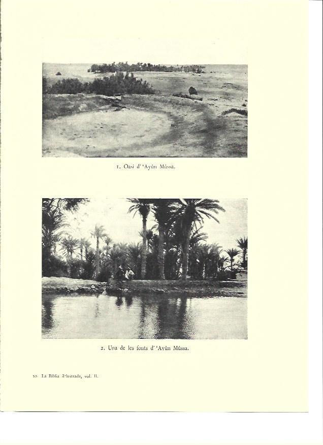 LAMINA 36031: Oasis de Ayun Mussa