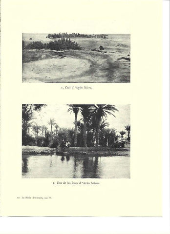 LAMINA 36031: Oasis de Ayun Mussa