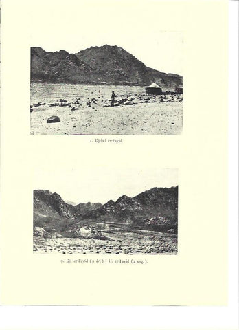 LAMINA 36052: Djebel er-Fayid