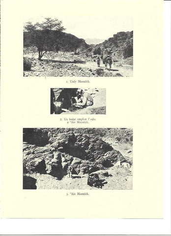 LAMINA 36049: Beduinos en Ain Mnemleh 
