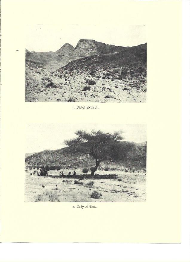 LAMINA 36048: Djebel el -Esch 