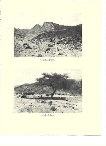 LAMINA 36048: Djebel el -Esch 