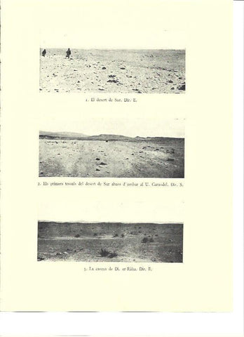 LAMINA 36030: Desierto del Sur en Egipto