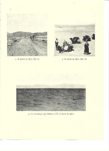 LAMINA 36040: Desierto de Qa'a