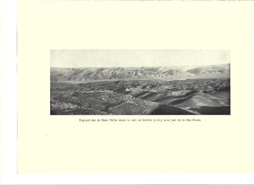 LAMINA 36233: Valle de Siddim, Israel