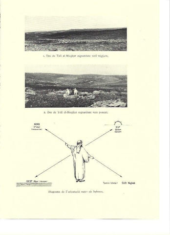 LAMINA 36208: Vista desde Tell El-Muqater