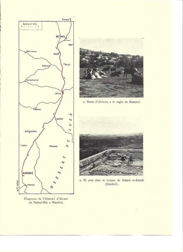 LAMINA 36209: Pozo y vista de la region de Mambre, Israel