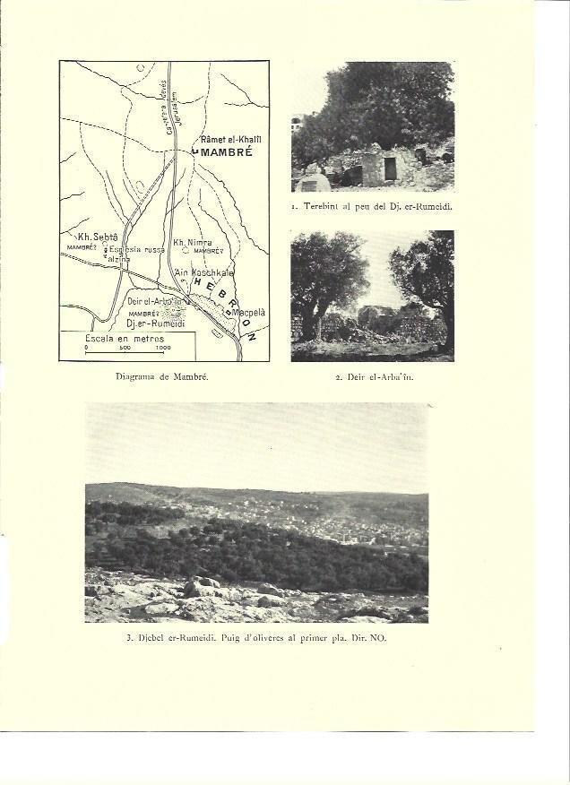 LAMINA 36211: Deir el-Arba'in y Djebel er-Rumeidi