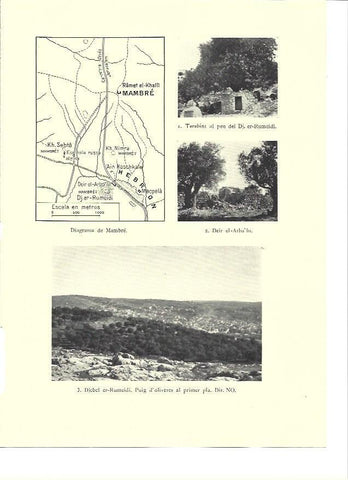 LAMINA 36211: Deir el-Arba'in y Djebel er-Rumeidi