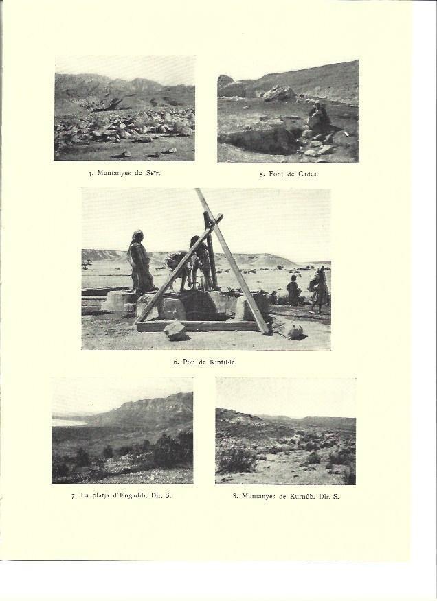 LAMINA 36217: Montañas de Seir
