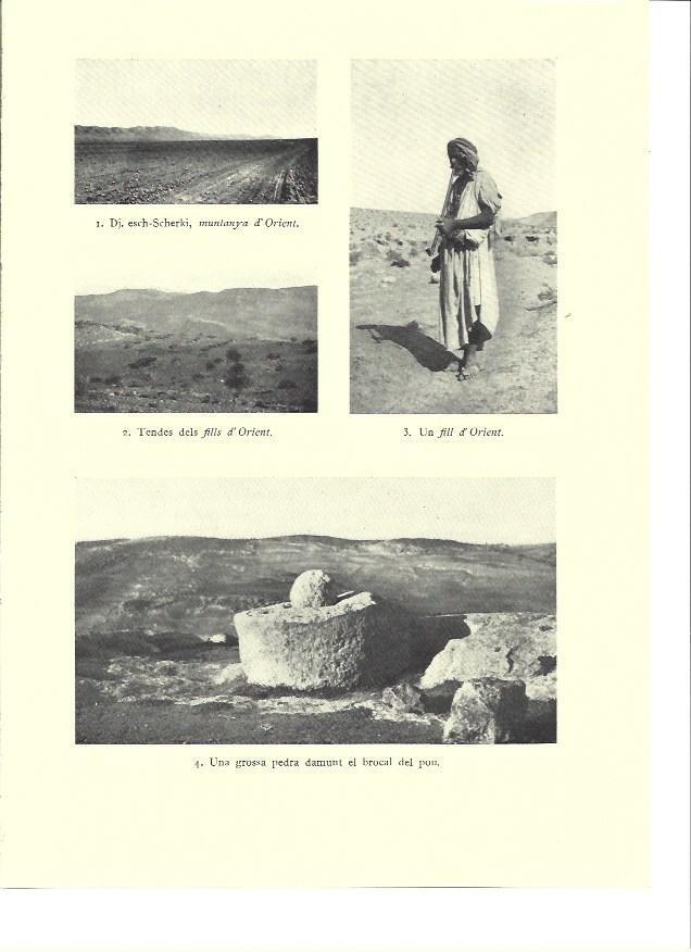 LAMINA 36266: Vistas de montañas de Israel