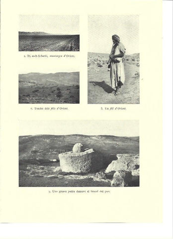 LAMINA 36266: Vistas de montañas de Israel