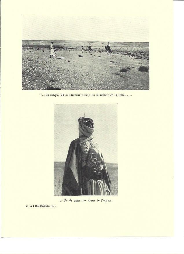 LAMINA 36263: Estepas de Idumea