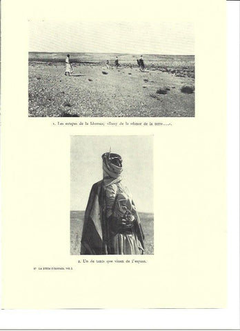 LAMINA 36263: Estepas de Idumea