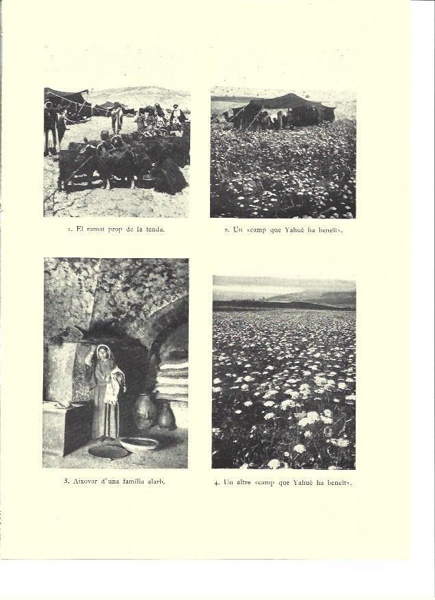 LAMINA 36262: Campos de Israel