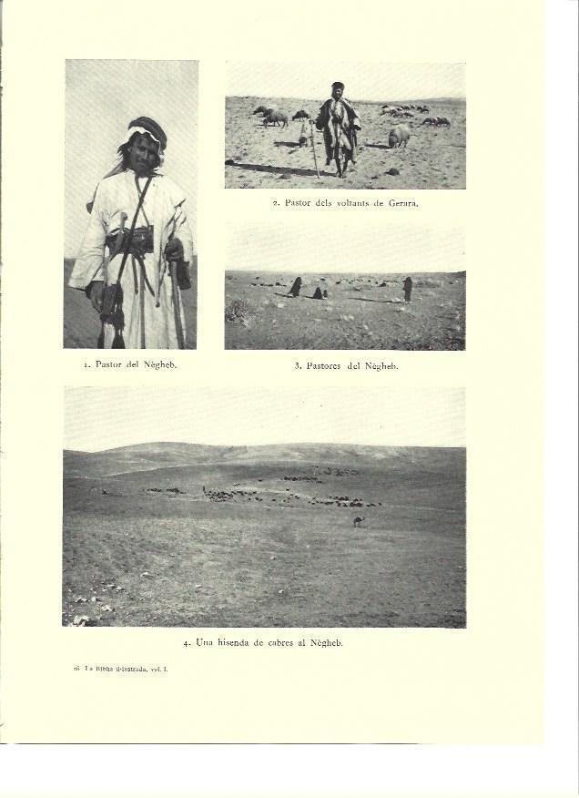 LAMINA 36259: Pastores del Negheb